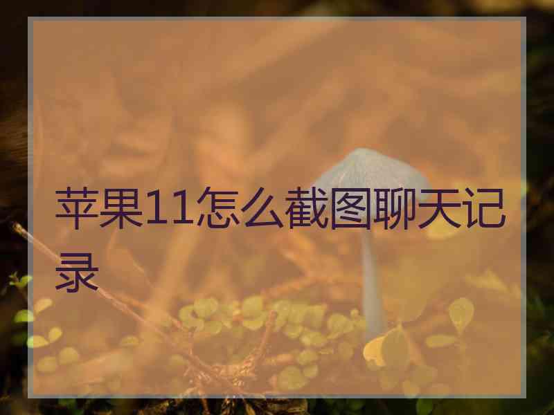 苹果11怎么截图聊天记录