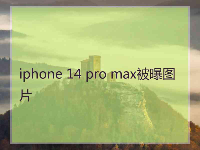 iphone 14 pro max被曝图片