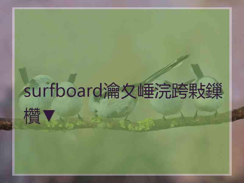 surfboard瀹夊崜浣跨敤鏁欑▼