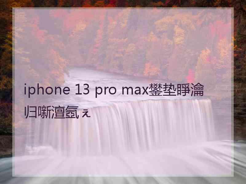 iphone 13 pro max鐢垫睜瀹归噺澶氬ぇ