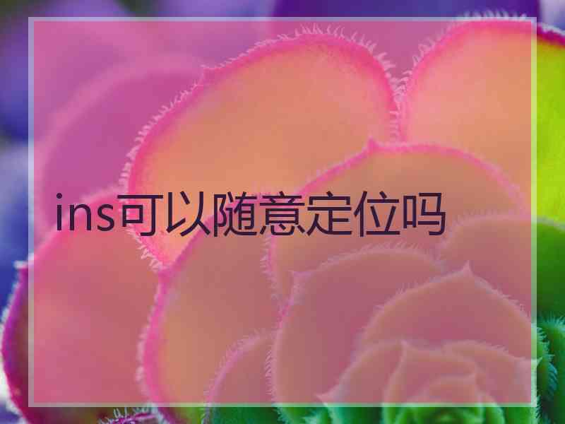 ins可以随意定位吗