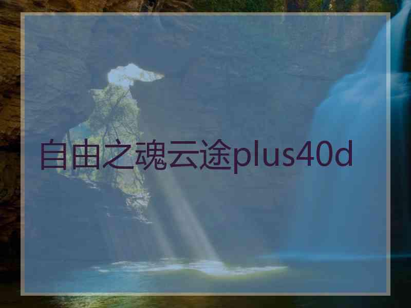 自由之魂云途plus40d