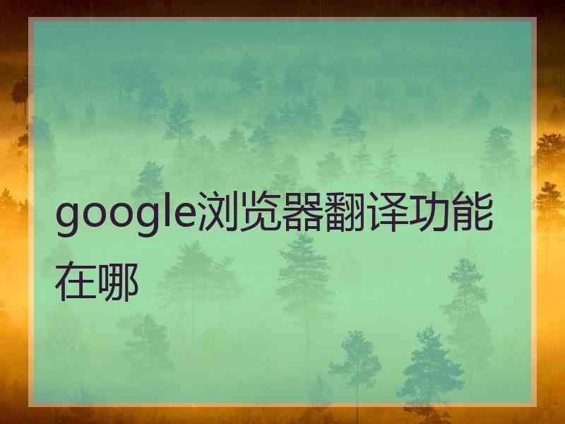 google浏览器翻译功能在哪