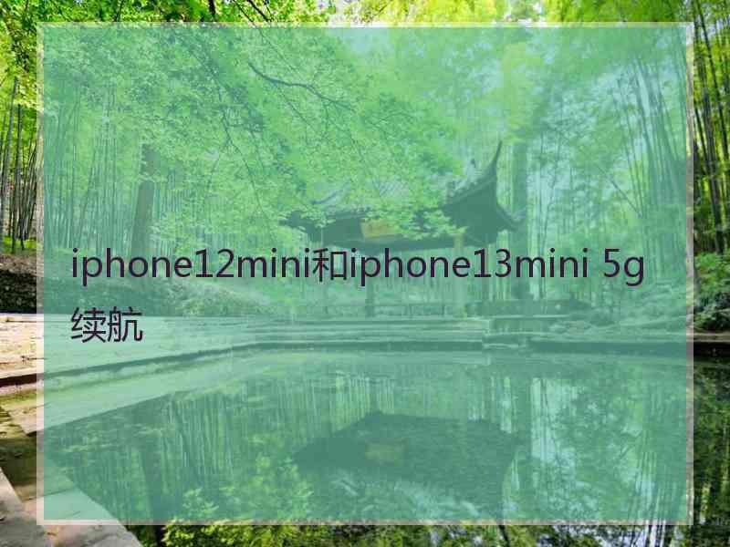 iphone12mini和iphone13mini 5g续航