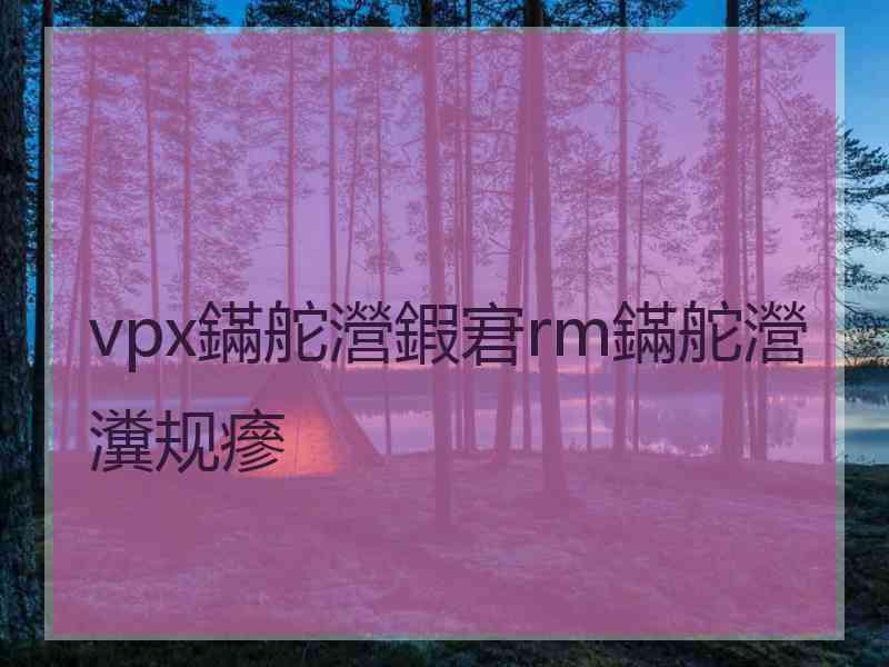 vpx鏋舵瀯鍜宭rm鏋舵瀯瀵规瘮