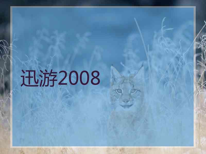 迅游2008