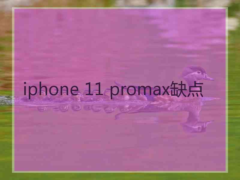 iphone 11 promax缺点