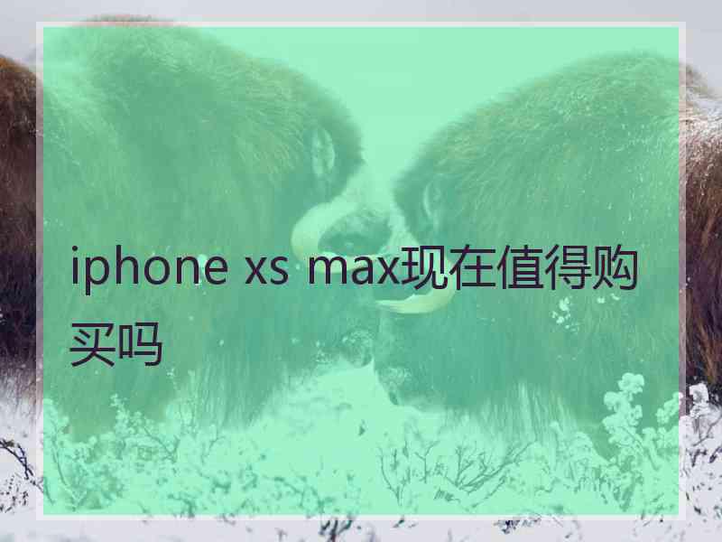 iphone xs max现在值得购买吗