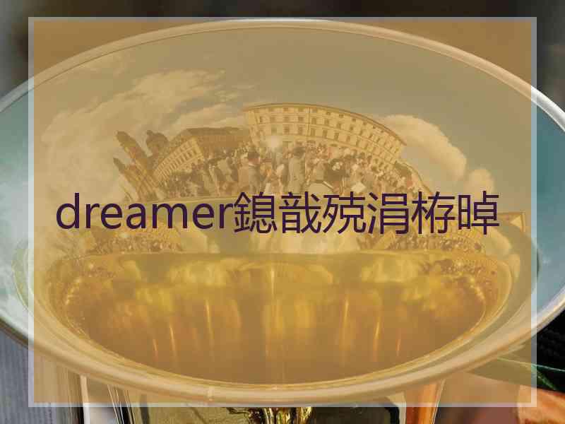 dreamer鎴戠殑涓栫晫