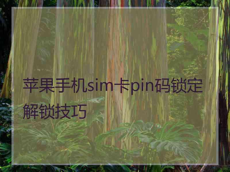 苹果手机sim卡pin码锁定解锁技巧