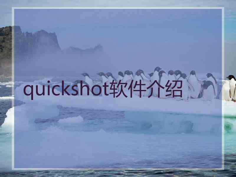 quickshot软件介绍