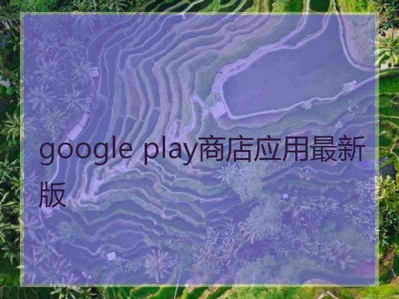 google play商店应用最新版