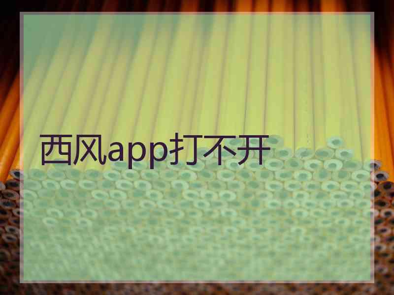 西风app打不开