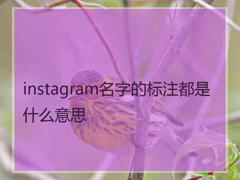 instagram名字的标注都是什么意思