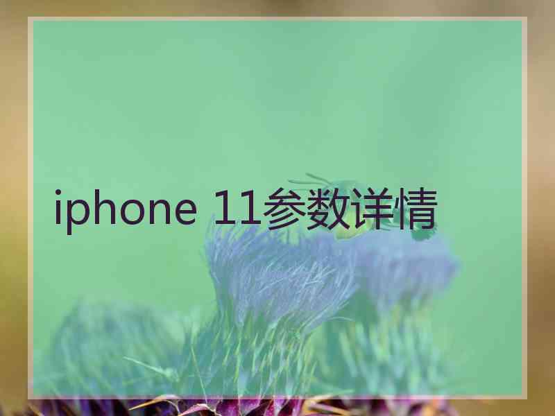 iphone 11参数详情