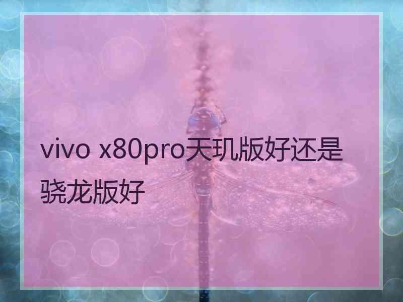 vivo x80pro天玑版好还是骁龙版好