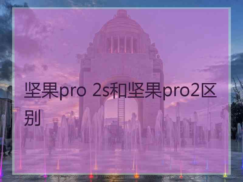 坚果pro 2s和坚果pro2区别