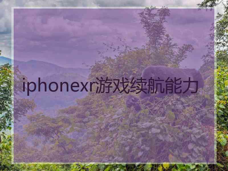 iphonexr游戏续航能力