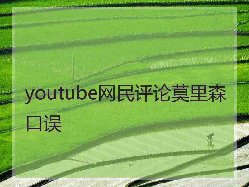 youtube网民评论莫里森口误