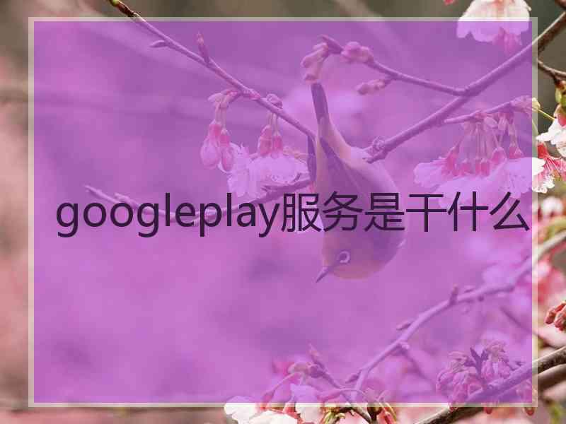 googleplay服务是干什么