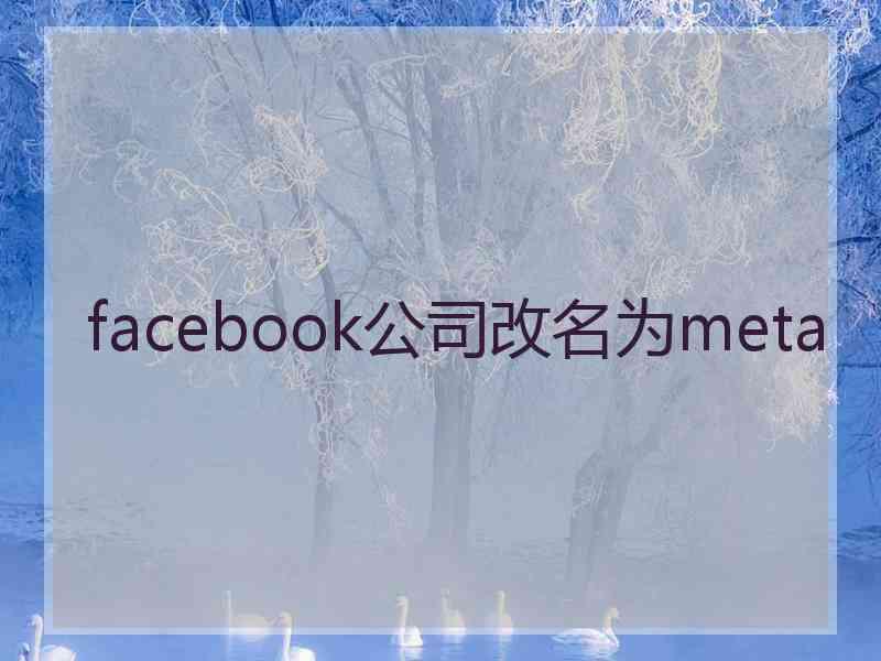 facebook公司改名为meta