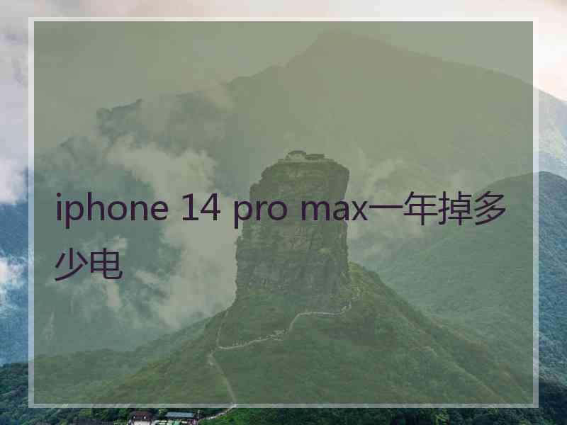 iphone 14 pro max一年掉多少电