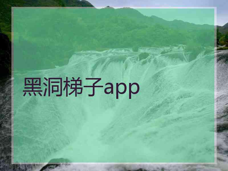 黑洞梯子app