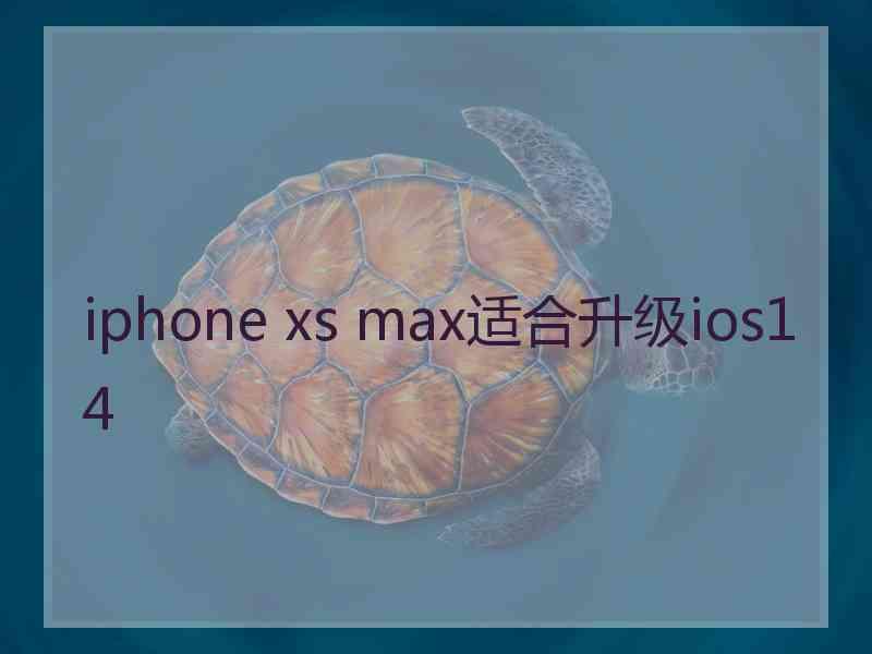 iphone xs max适合升级ios14