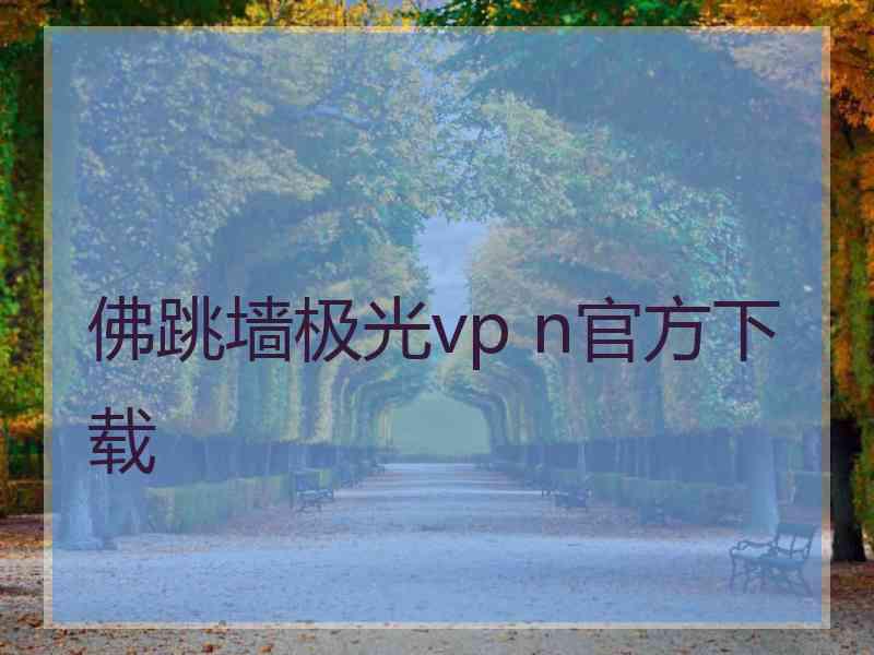 佛跳墙极光vp n官方下载