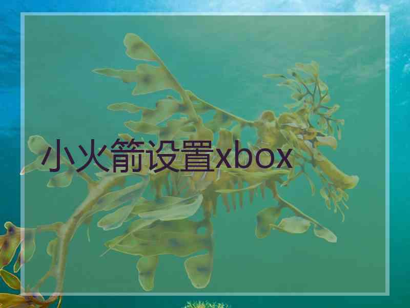 小火箭设置xbox