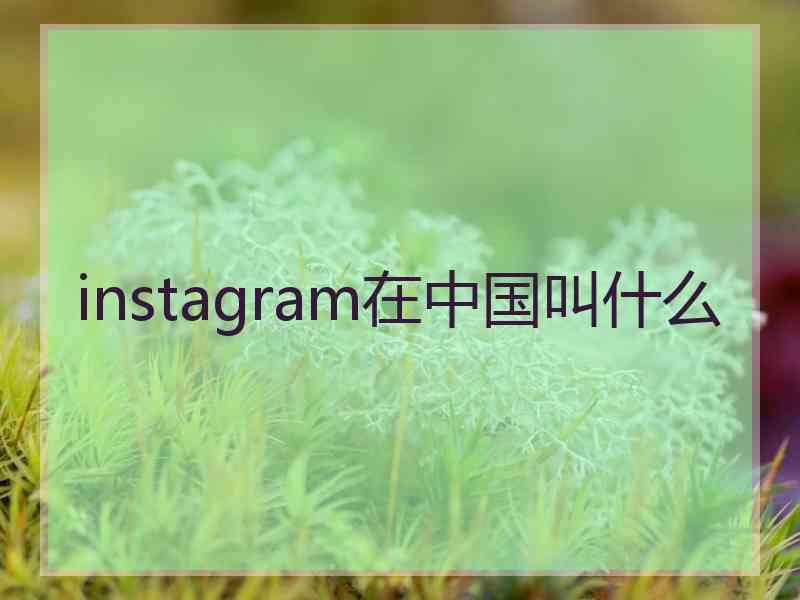 instagram在中国叫什么