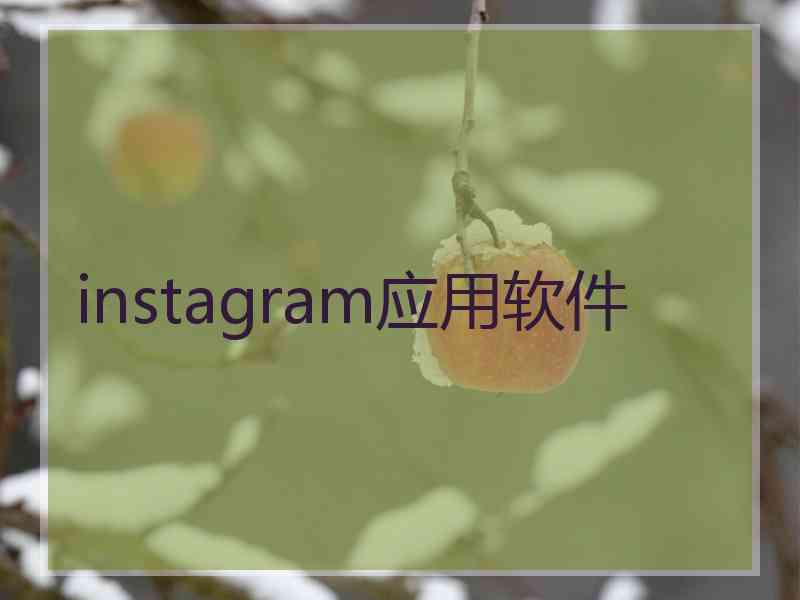 instagram应用软件