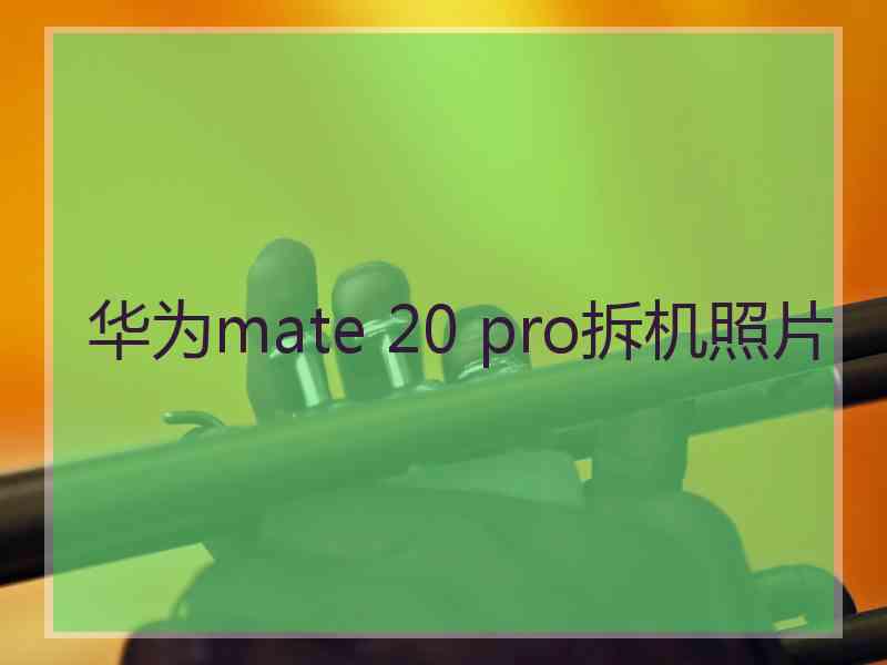 华为mate 20 pro拆机照片