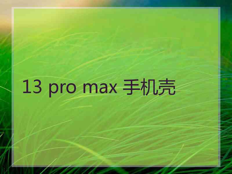 13 pro max 手机壳