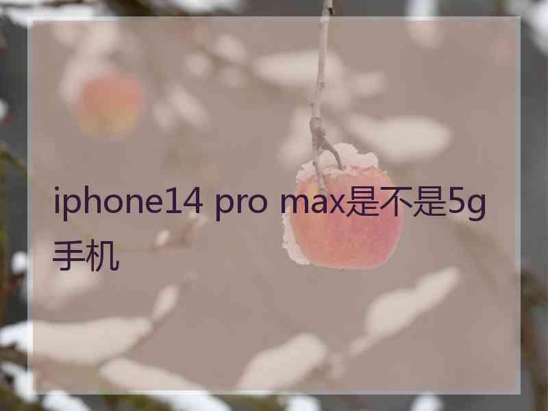 iphone14 pro max是不是5g手机