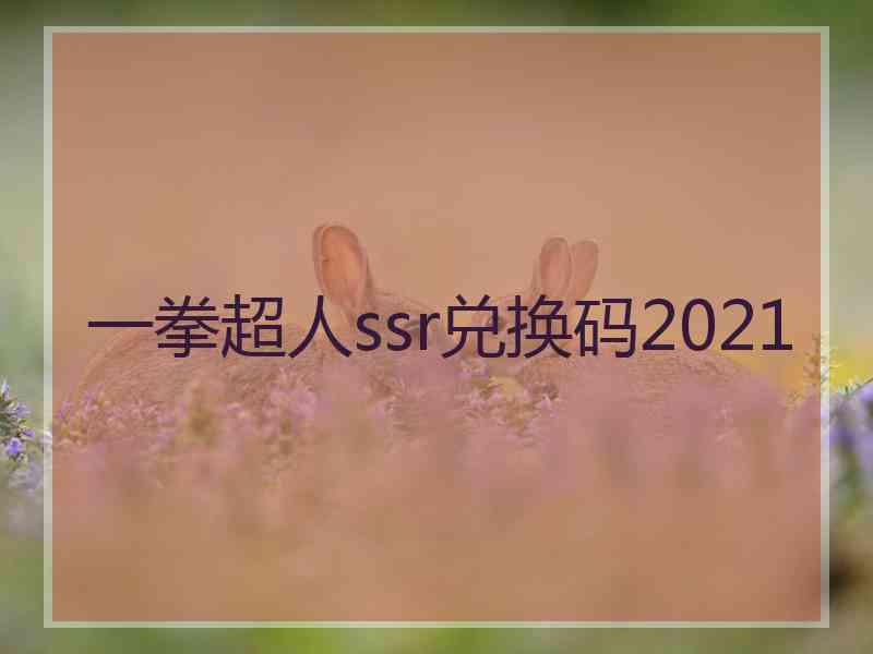 一拳超人ssr兑换码2021