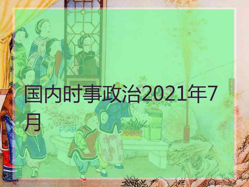 国内时事政治2021年7月