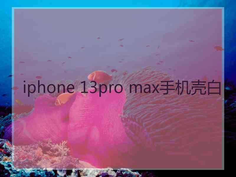 iphone 13pro max手机壳白