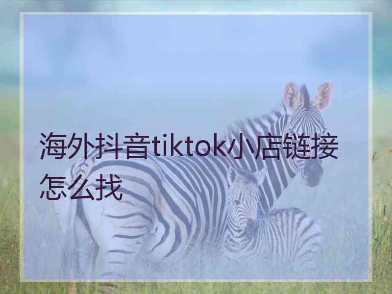 海外抖音tiktok小店链接怎么找