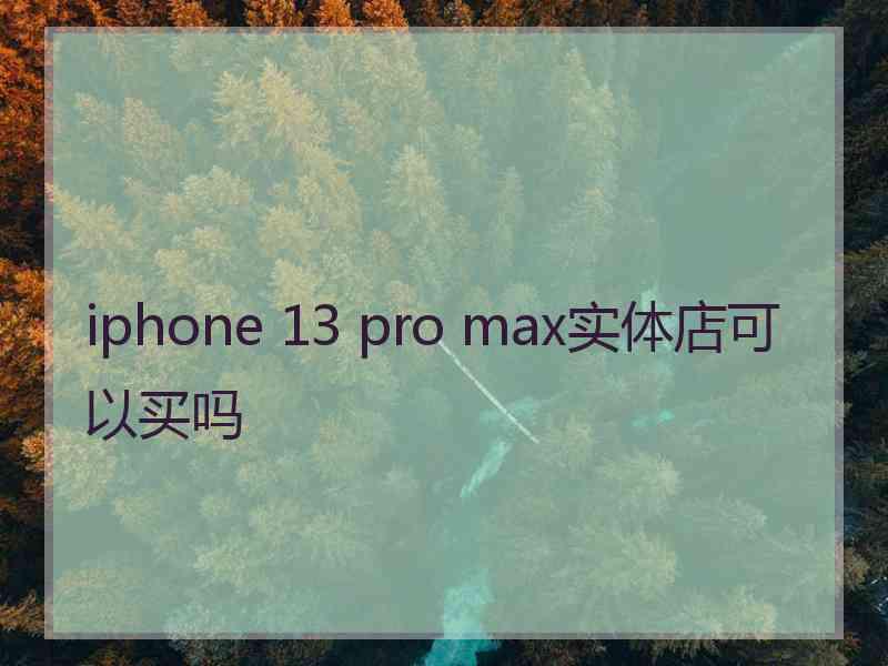 iphone 13 pro max实体店可以买吗