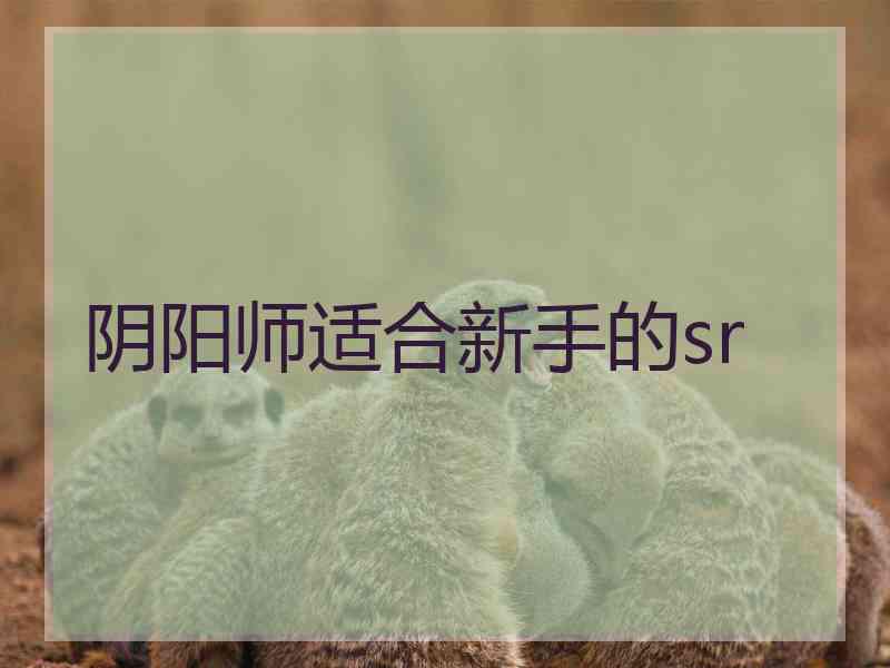 阴阳师适合新手的sr