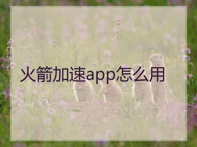 火箭加速app怎么用