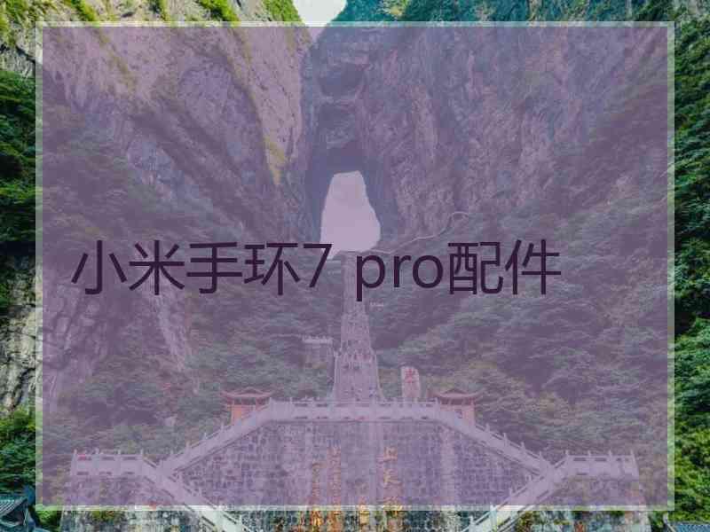 小米手环7 pro配件