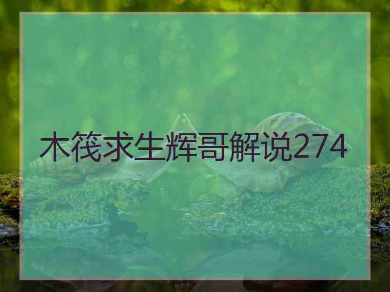 木筏求生辉哥解说274