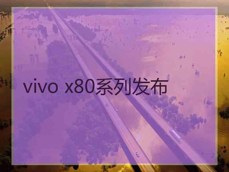 vivo x80系列发布