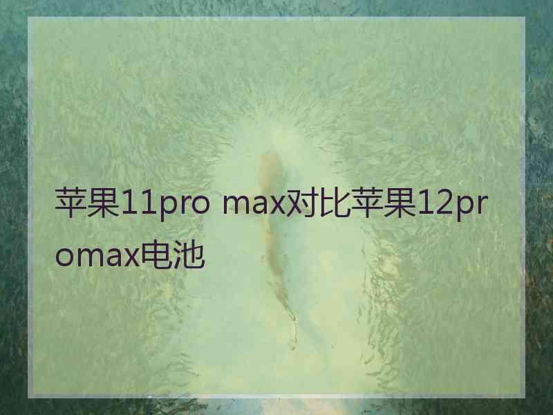 苹果11pro max对比苹果12promax电池