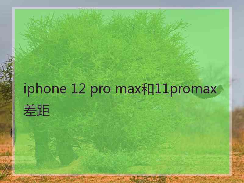 iphone 12 pro max和11promax差距