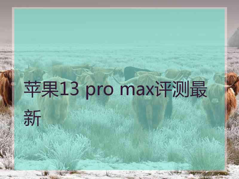 苹果13 pro max评测最新