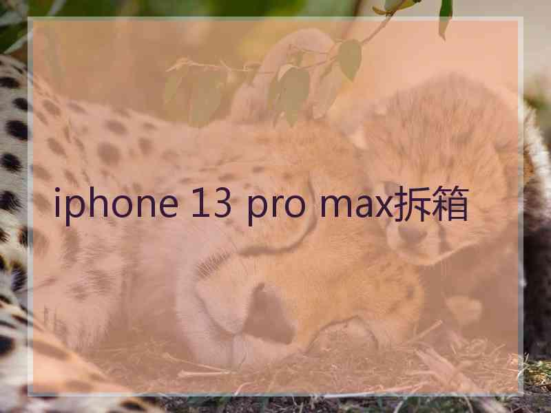 iphone 13 pro max拆箱