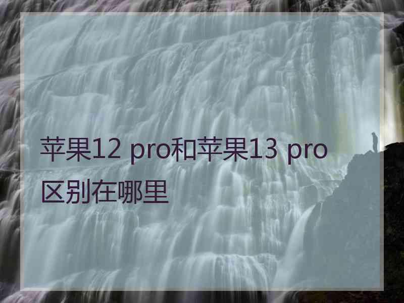 苹果12 pro和苹果13 pro区别在哪里